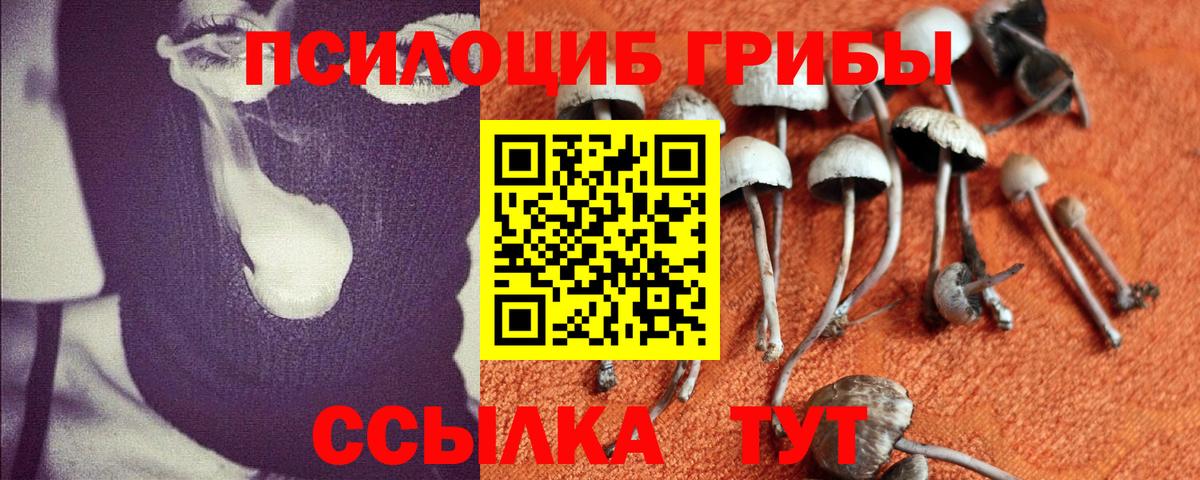 Галлюциногенные грибы MAGIC MUSHROOMS Архангельск