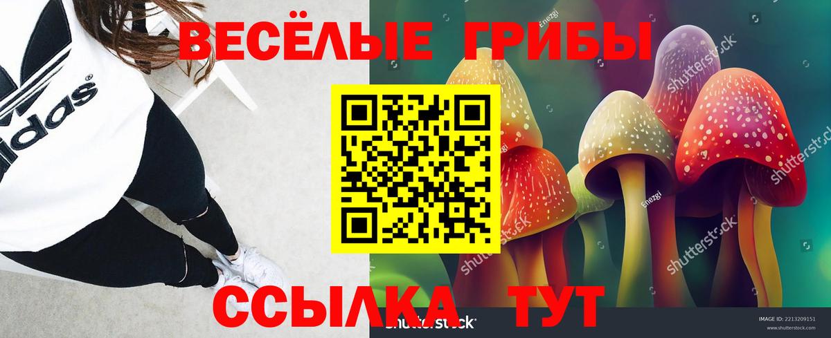 Псилоцибиновые грибы прущие грибы  Псилоцибиновые грибы мухоморы  Архангельск  как найти наркотики  Вход с VPN 